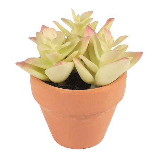 6 Packs: 6 ct. (36 total) Mixed Mini Premade Succulents in Terra Cotta Pots by Ashland®
